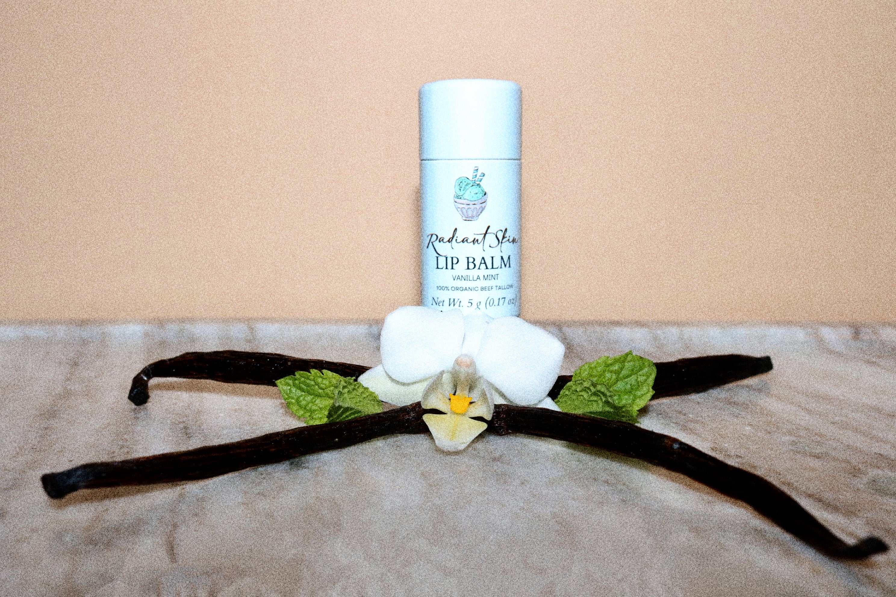 Organic Lip Balm Box – Set of 4